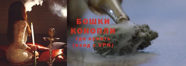 спайс Корсаков