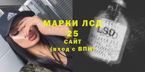 спайс Корсаков