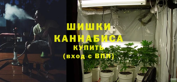 спайс Корсаков