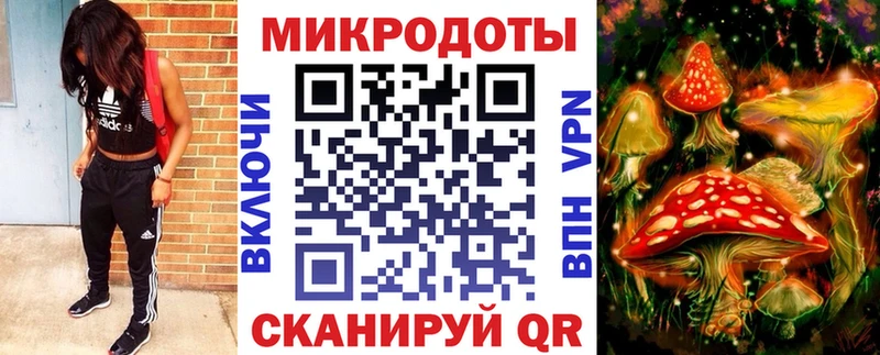 KRAKEN как войти  Чердынь  Галлюциногенные грибы мухоморы 